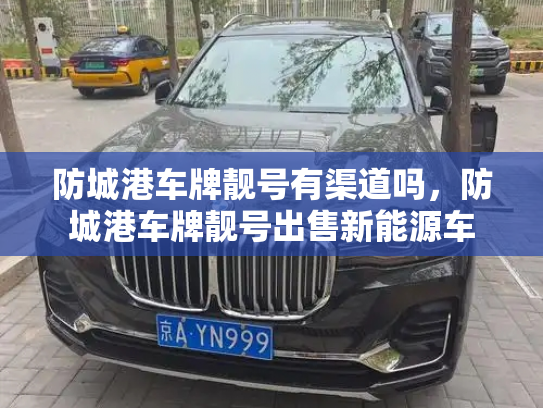 防城港车牌靓号有渠道吗，防城港车牌靓号出售新能源车-第2张图片-七号汽车选号