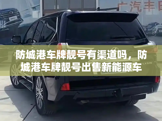 防城港车牌靓号有渠道吗，防城港车牌靓号出售新能源车-第3张图片-七号汽车选号