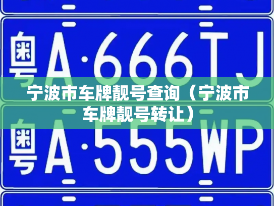 宁波市车牌靓号查询（宁波市车牌靓号转让）-第2张图片-七号汽车选号