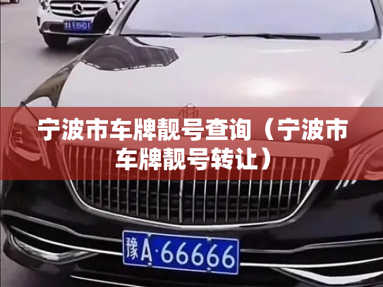 宁波市车牌靓号查询（宁波市车牌靓号转让）-第3张图片-七号汽车选号