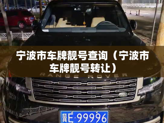 宁波市车牌靓号查询（宁波市车牌靓号转让）