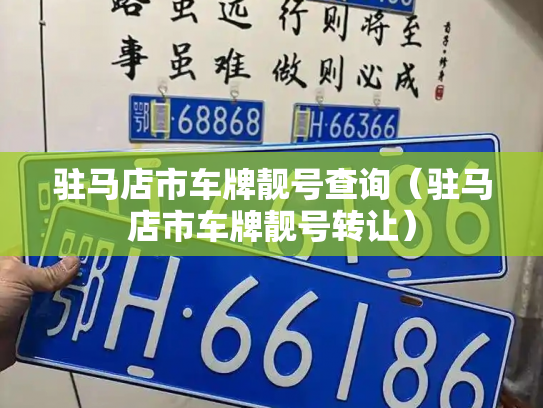 驻马店市车牌靓号查询（驻马店市车牌靓号转让）