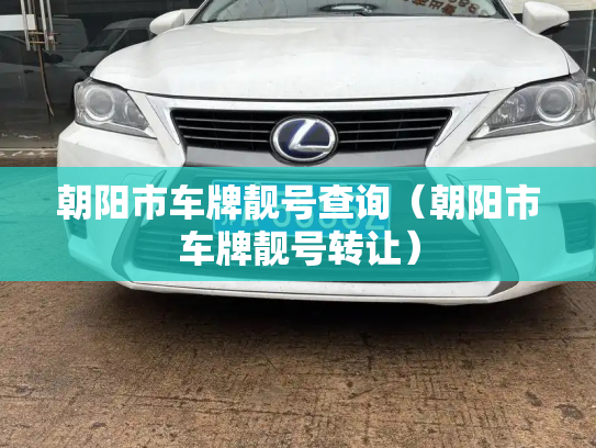 朝阳市车牌靓号查询（朝阳市车牌靓号转让）-第3张图片-七号汽车选号