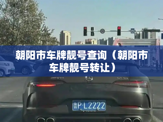 朝阳市车牌靓号查询（朝阳市车牌靓号转让）