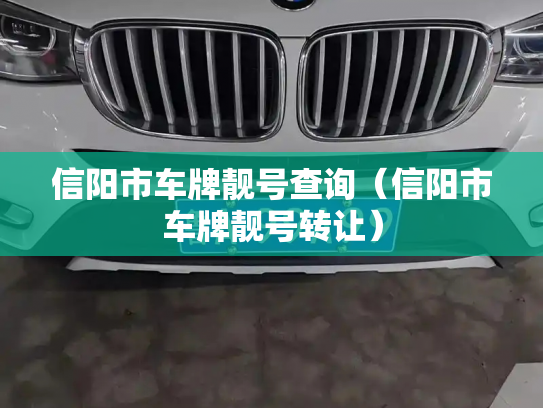 信阳市车牌靓号查询（信阳市车牌靓号转让）-第2张图片-七号汽车选号