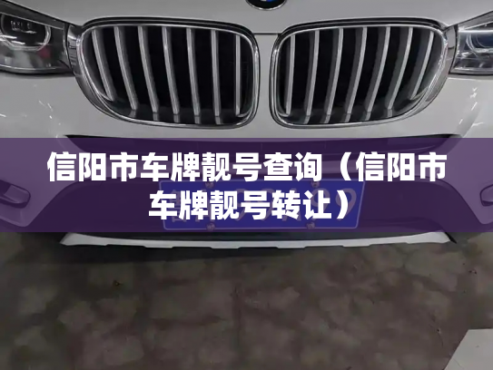 信阳市车牌靓号查询（信阳市车牌靓号转让）-第3张图片-七号汽车选号