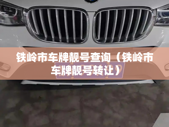 铁岭市车牌靓号查询（铁岭市车牌靓号转让）-第2张图片-七号汽车选号