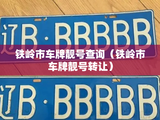 铁岭市车牌靓号查询（铁岭市车牌靓号转让）-第3张图片-七号汽车选号