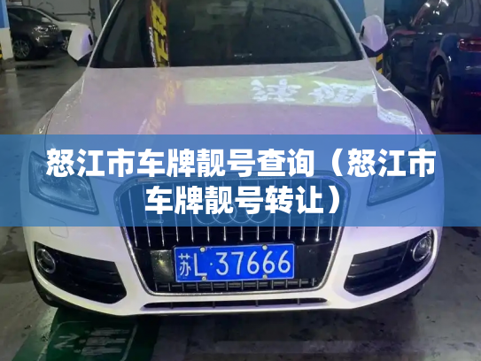 怒江市车牌靓号查询（怒江市车牌靓号转让）-第2张图片-七号汽车选号