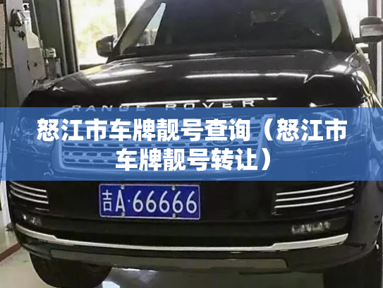 怒江市车牌靓号查询（怒江市车牌靓号转让）-第3张图片-七号汽车选号