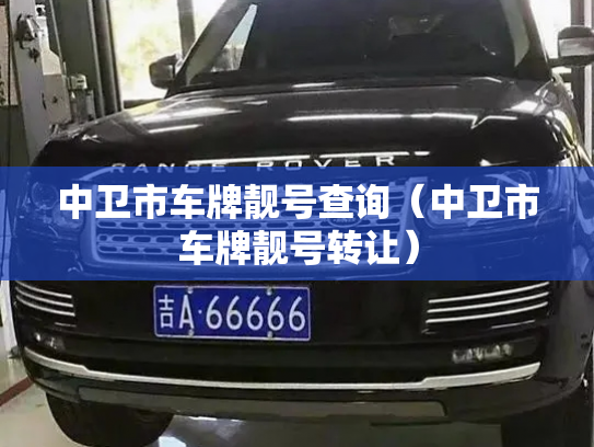 中卫市车牌靓号查询（中卫市车牌靓号转让）-第2张图片-七号汽车选号