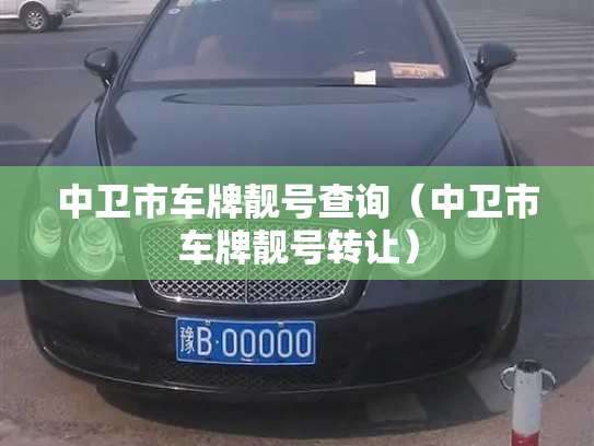 中卫市车牌靓号查询（中卫市车牌靓号转让）-第3张图片-七号汽车选号