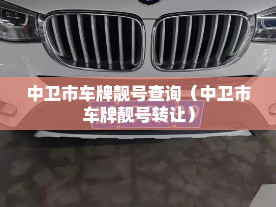 中卫市车牌靓号查询（中卫市车牌靓号转让）