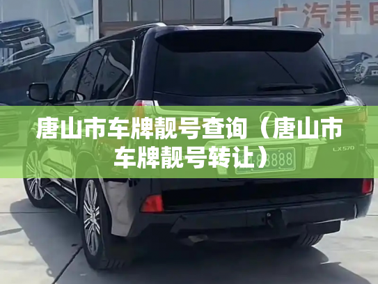 唐山市车牌靓号查询（唐山市车牌靓号转让）-第3张图片-七号汽车选号