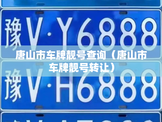 唐山市车牌靓号查询（唐山市车牌靓号转让）
