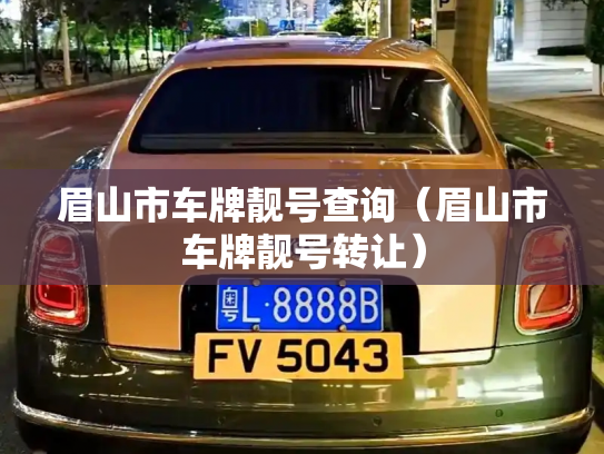 眉山市车牌靓号查询（眉山市车牌靓号转让）-第3张图片-七号汽车选号