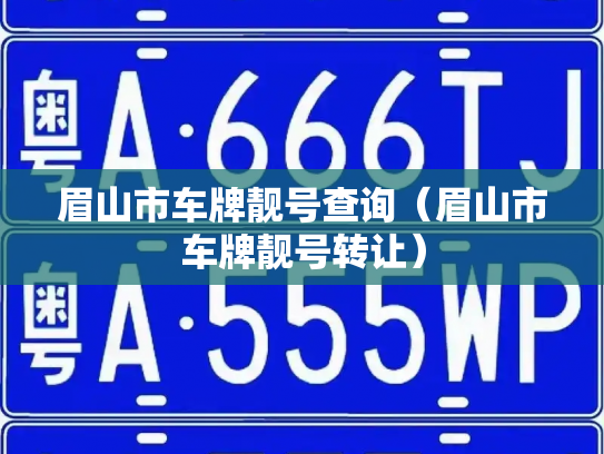眉山市车牌靓号查询（眉山市车牌靓号转让）