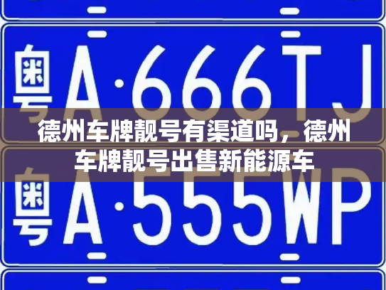 德州车牌靓号有渠道吗，德州车牌靓号出售新能源车-第2张图片-七号汽车选号