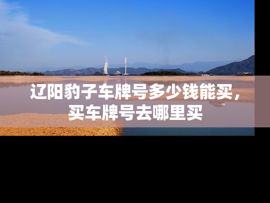 辽阳豹子车牌号多少钱能买，买车牌号去哪里买