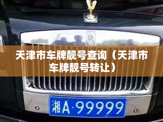 天津市车牌靓号查询（天津市车牌靓号转让）-第3张图片-七号汽车选号
