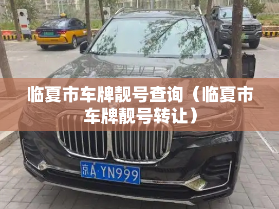 临夏市车牌靓号查询（临夏市车牌靓号转让）-第2张图片-七号汽车选号