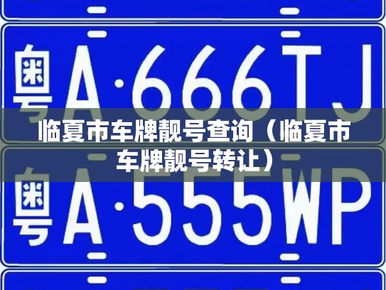 临夏市车牌靓号查询（临夏市车牌靓号转让）-第3张图片-七号汽车选号