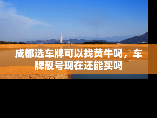 成都选车牌可以找黄牛吗，车牌靓号现在还能买吗-第1张图片-七号汽车选号