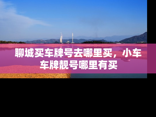 聊城买车牌号去哪里买，小车车牌靓号哪里有买-第1张图片-七号汽车选号