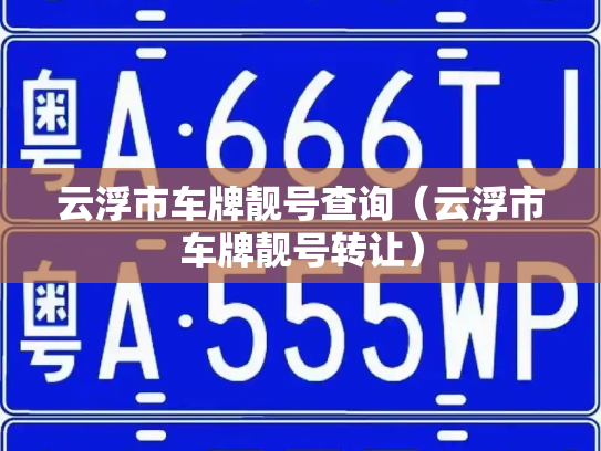 云浮市车牌靓号查询（云浮市车牌靓号转让）-第3张图片-七号汽车选号