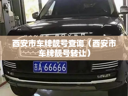 西安市车牌靓号查询（西安市车牌靓号转让）-第3张图片-七号汽车选号