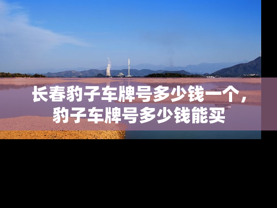 长春豹子车牌号多少钱一个，豹子车牌号多少钱能买-第1张图片-七号汽车选号