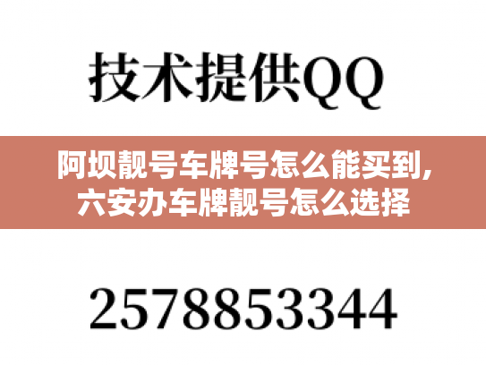 阿坝靓号车牌号怎么能买到,六安办车牌靓号怎么选择