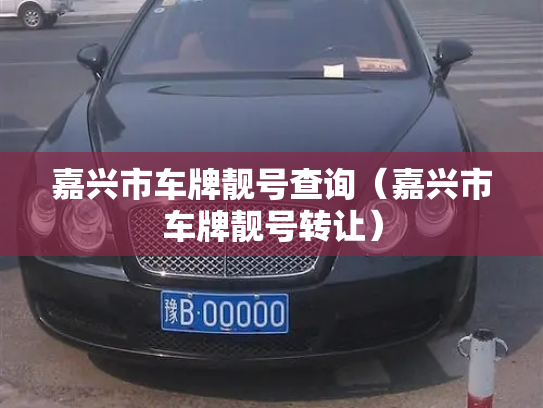 嘉兴市车牌靓号查询（嘉兴市车牌靓号转让）-第2张图片-七号汽车选号