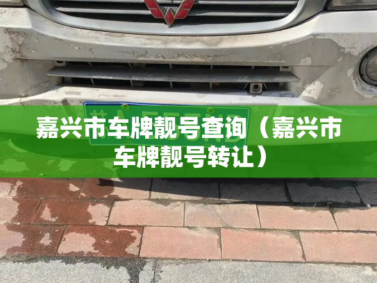 嘉兴市车牌靓号查询（嘉兴市车牌靓号转让）-第3张图片-七号汽车选号