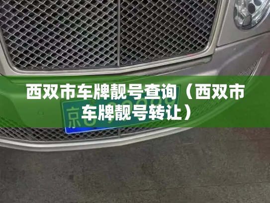 西双市车牌靓号查询（西双市车牌靓号转让）-第3张图片-七号汽车选号