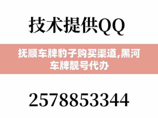 抚顺车牌豹子购买渠道,黑河车牌靓号代办
