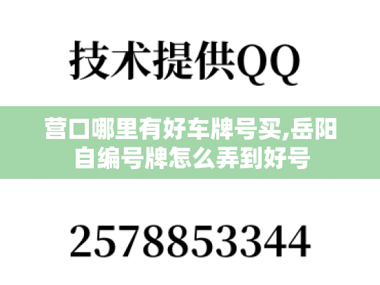 营口哪里有好车牌号买,岳阳自编号牌怎么弄到好号
