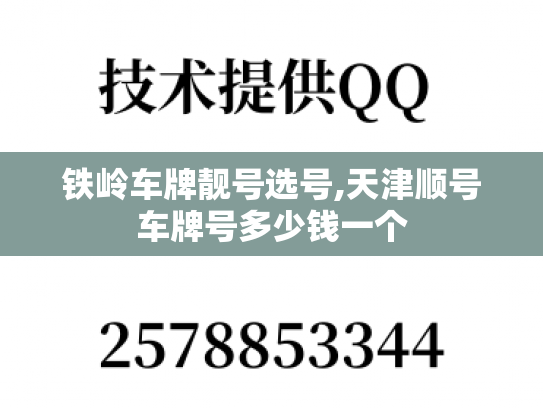铁岭车牌靓号选号,天津顺号车牌号多少钱一个