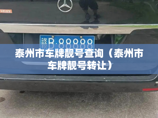 泰州市车牌靓号查询（泰州市车牌靓号转让）-第2张图片-七号汽车选号
