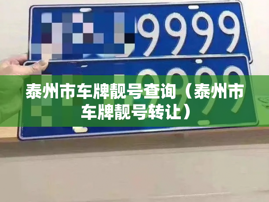 泰州市车牌靓号查询（泰州市车牌靓号转让）-第3张图片-七号汽车选号