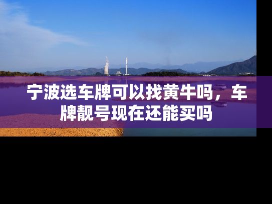 宁波选车牌可以找黄牛吗，车牌靓号现在还能买吗-第1张图片-七号汽车选号