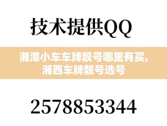 湘潭小车车牌靓号哪里有买,湘西车牌靓号选号