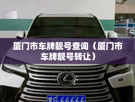 厦门市车牌靓号查询（厦门市车牌靓号转让）-第2张图片-七号汽车选号