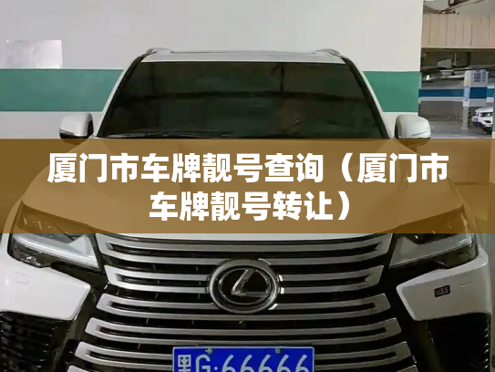 厦门市车牌靓号查询（厦门市车牌靓号转让）-第3张图片-七号汽车选号