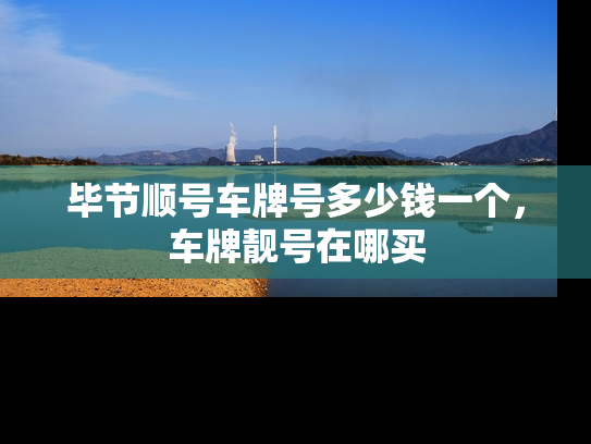 毕节顺号车牌号多少钱一个，车牌靓号在哪买-第1张图片-七号汽车选号