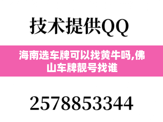 海南选车牌可以找黄牛吗,佛山车牌靓号找谁