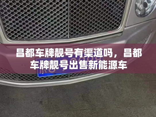 昌都车牌靓号有渠道吗，昌都车牌靓号出售新能源车-第3张图片-七号汽车选号