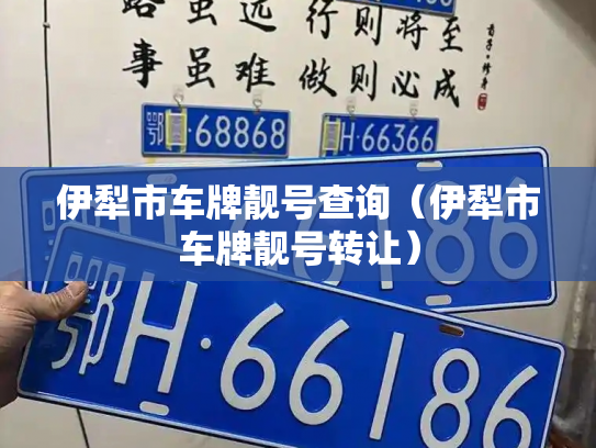 伊犁市车牌靓号查询（伊犁市车牌靓号转让）-第3张图片-七号汽车选号