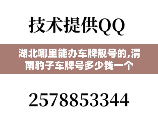 湖北哪里能办车牌靓号的,渭南豹子车牌号多少钱一个