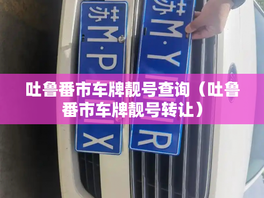 吐鲁番市车牌靓号查询（吐鲁番市车牌靓号转让）-第2张图片-七号汽车选号